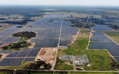 Darlington Point Solar farm, Signal Energy NSW